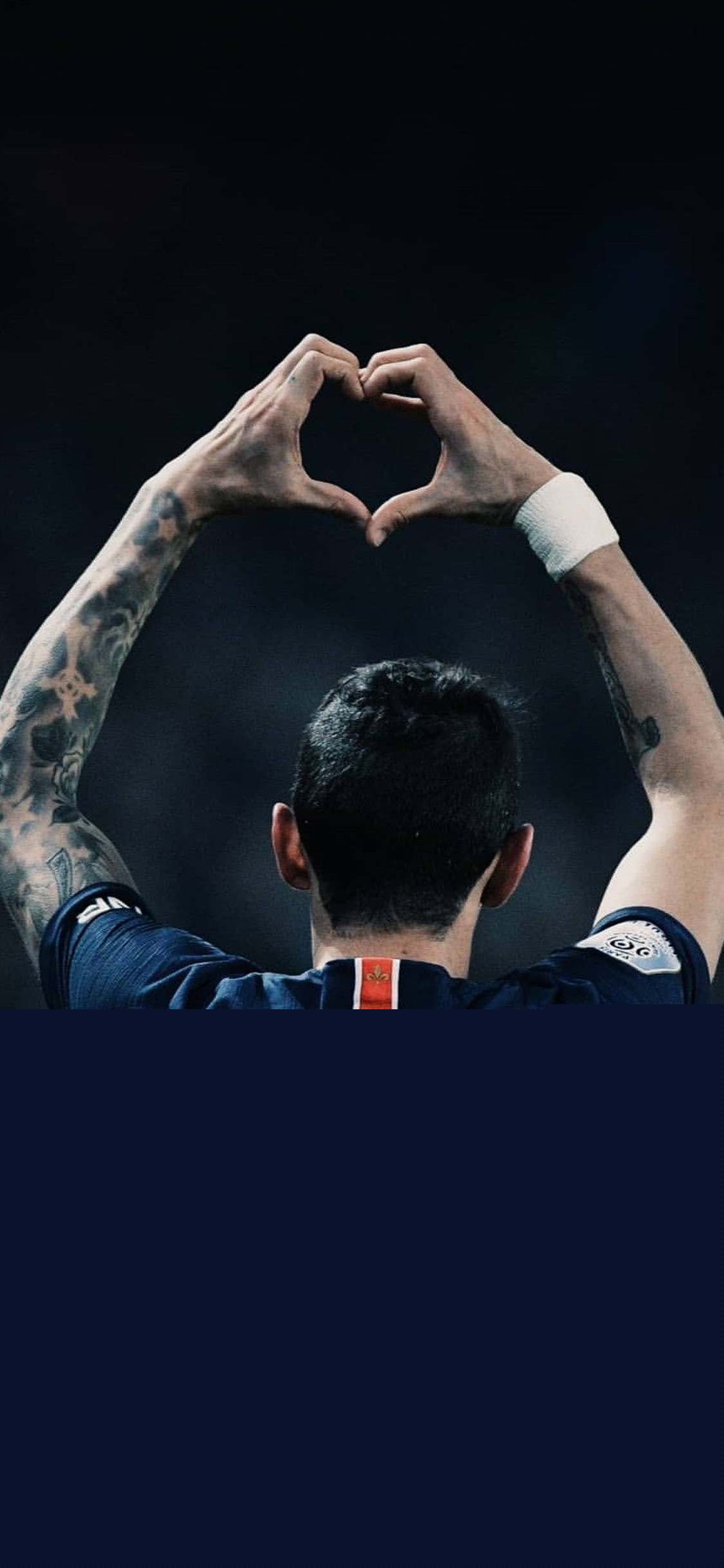 球队管理层 球队管理层